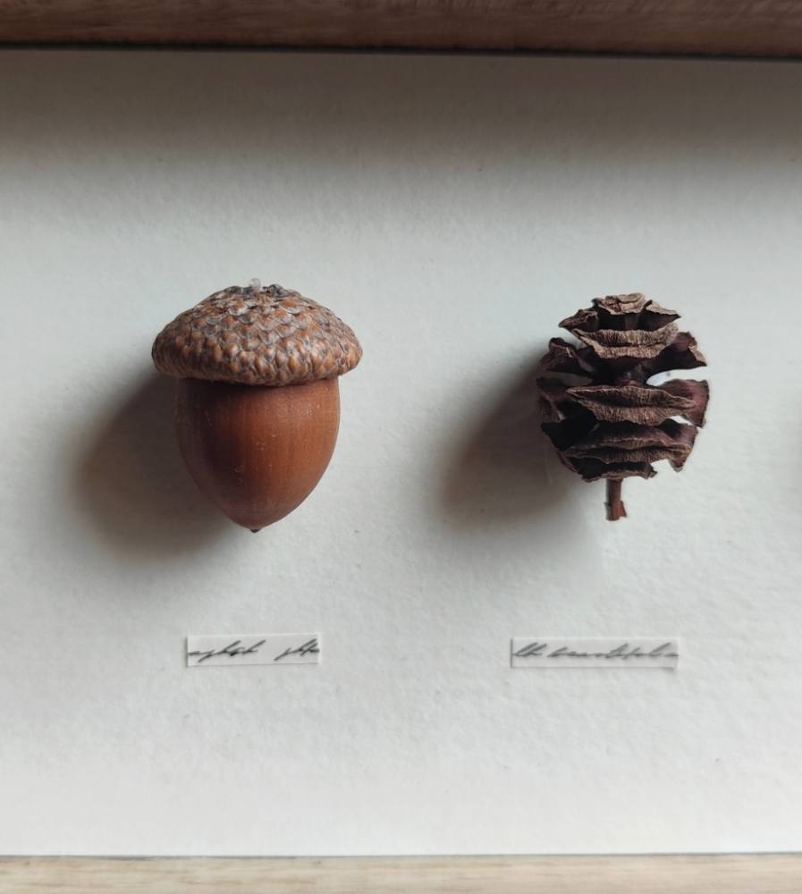 ２枚セット　木の実のパネル+ボタニカルパネル